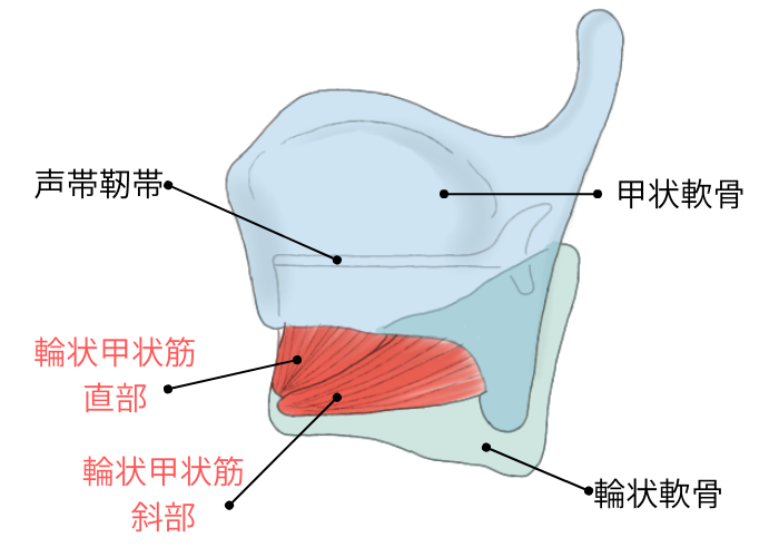 本締め、丁締め、三本締めの違いとは？意味や使い分け、やり方について 日本文化研究ブログ japan