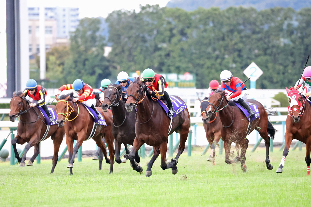 府中牝馬S枠順】エリザベス女王杯優勝以来の復帰戦ブレイディヴェーグは3枠5番 重賞3勝目を狙うマスクトディーヴァは4枠6番｜【SPAIA】スパイア