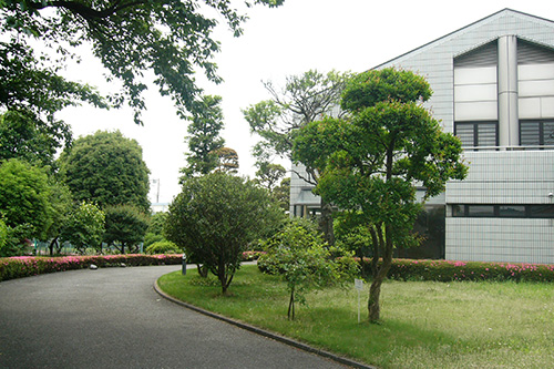 世界一のとうがらし村から地域おこしを学ぶ！新宿の発展を学生が盛り上げるプロジェクト始動！ | 時色株式会社のプレスリリース