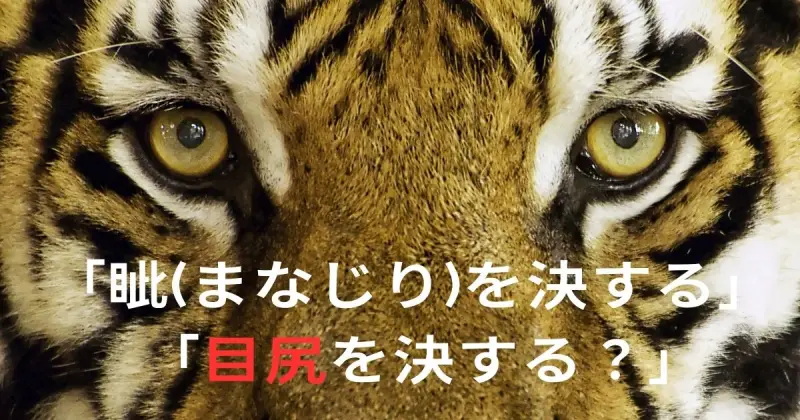 眦を決する（まなじりをけっする）とは？ 意味・読み方・使い方をわかりやすく解説 -