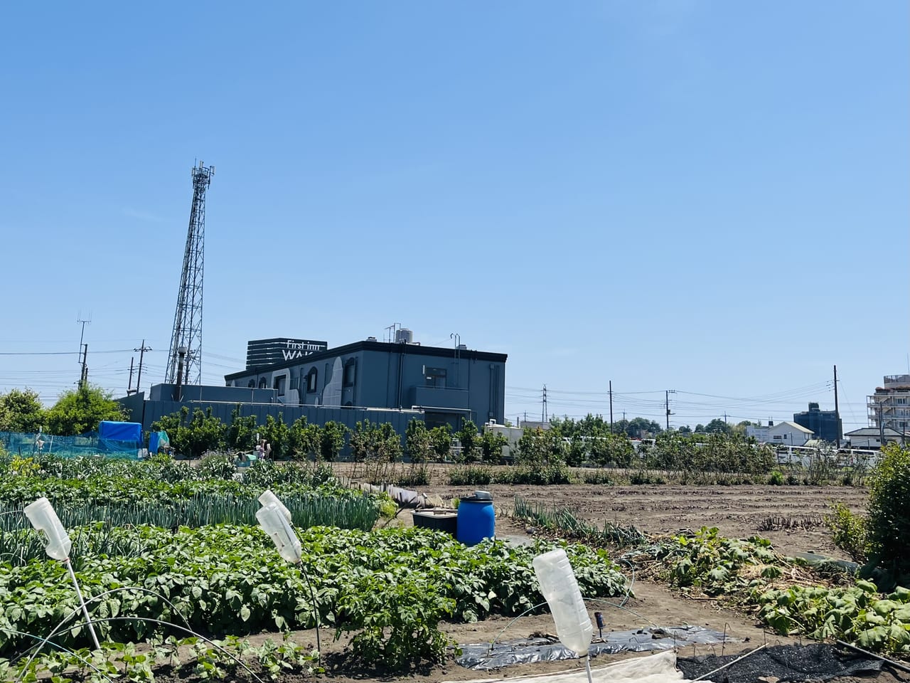 タワーズホテル(大阪府大阪市) - サウナイキタイ