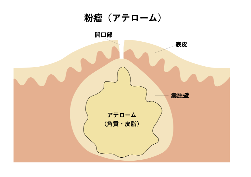 女性がオナニーでイク方法！平均頻度や注意点を解説【快感スタイル】