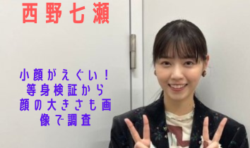 乃木坂の西野七瀬ってほんとに小顔なんですか？何か彼女の小顔が目に見えてわかる - Yahoo!知恵袋