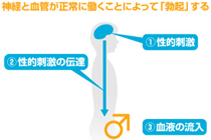 専門医が解説】男性の乳頭縮小術に関して知っておくべき３つの知識