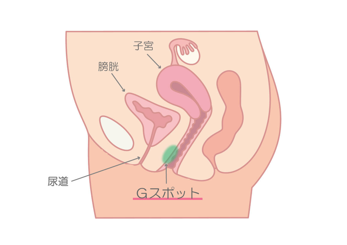 チンコがバカになるほど気持ちいい！「男の潮吹き」のやり方を教えます