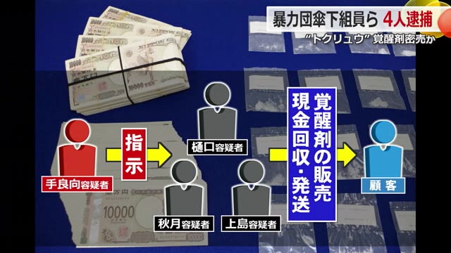 新宿歌舞伎町 黒歴史大全 「ヤクザ闇金マフィア風俗王ホストキャバ嬢」