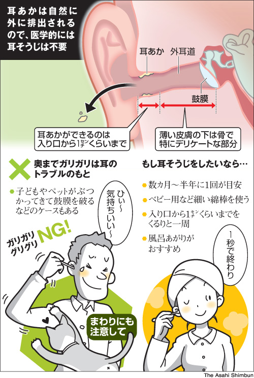 楽天市場】耳かき 気持ちいい 理由の通販