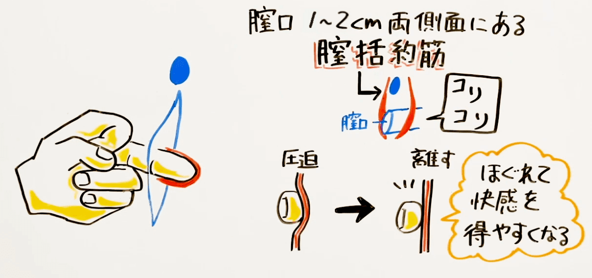 手マンオナニーのやり方｜初めてでも気持ちいい女性のセルフプレジャー入門