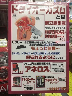 駿河屋 -【アダルト】<中古>横浜闇貸倉庫社 アナルでオナニーする女子○生 16（ＡＶ）