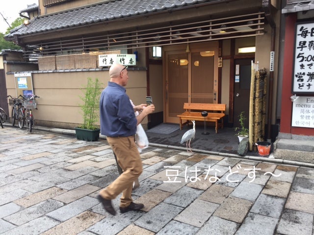 ほたる - 京都懐紙専門店「辻徳」オンラインショップ