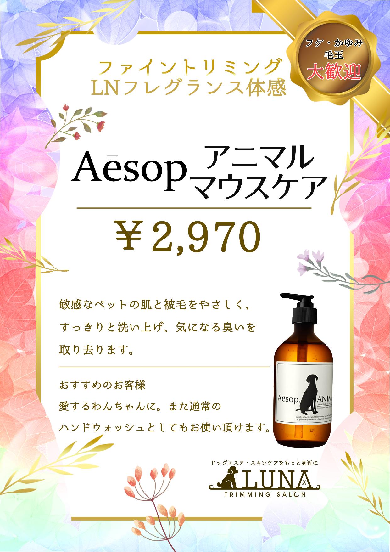 NICORIで利用しているフレグランスランプ 【アシュレイアンドバーウッド】 輸入総代｜Beauty salon 