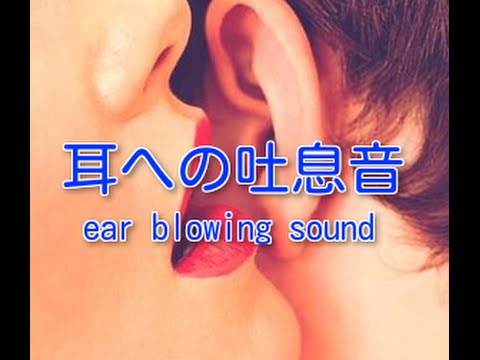 耳にキスする意味とは？9つの男性心理とキスの場所で異なる男性心理を解説