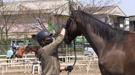 乗馬クラブクレイン栃木 (栃木県下都賀郡野木町/乗馬)| e-NAVITA（イーナビタ） -