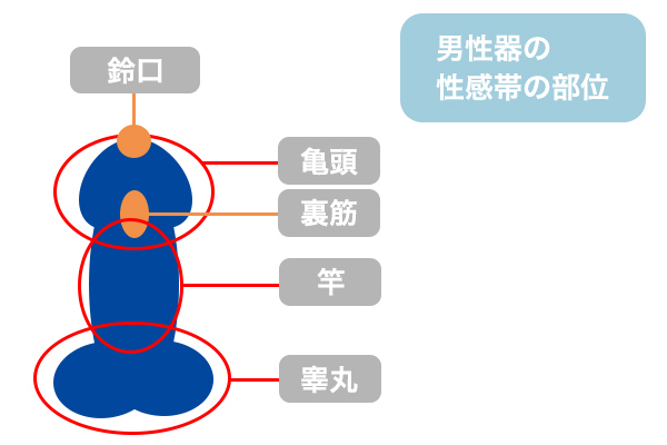 電マオナニーとは？ 強すぎる振動で感度が下がるって本当？ ｜ iro iro