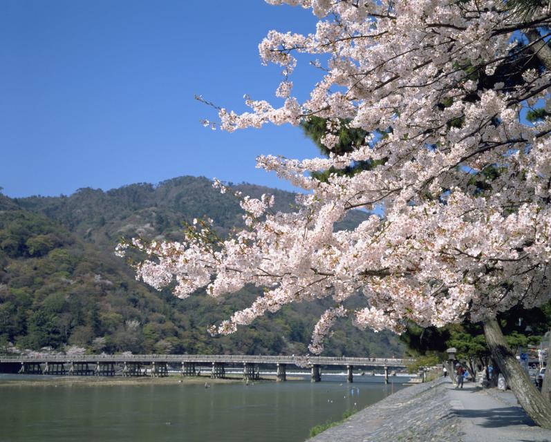 京都の世界遺産 仁和寺にて新たな限定切り絵御朱印『秋の仁和寺～花鳥風月』の授与開始 -