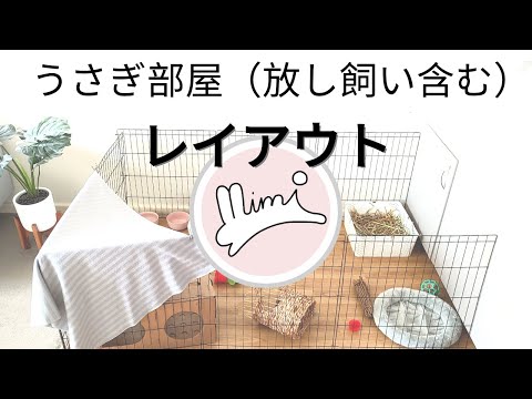 瀬戸内のうさぎ島をイメージしたコンセプトルーム『うさぎルーム』 | グリーンスカイホテル竹原