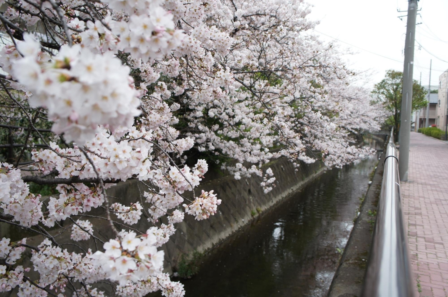 向ヶ丘胃腸・肛門クリニック｜向ヶ丘遊園・登戸の消化器内科・肛門外科