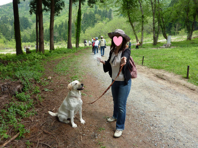 しぐさでわかる犬の愛情表現 犬の気持ちがわかる10の行動｜みんなのブリーダー