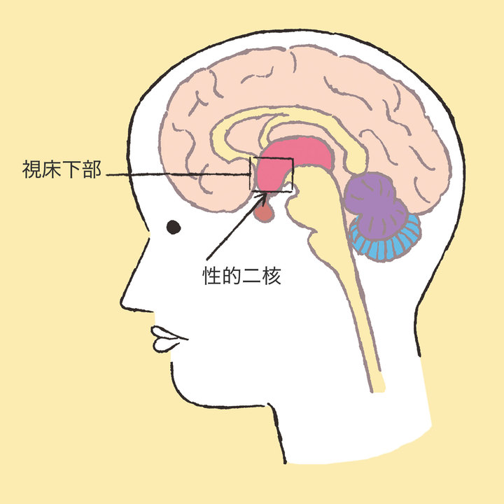 【２択】男が冬にムラムラするのはこっち！超テンポよく５０問に答えてみた！