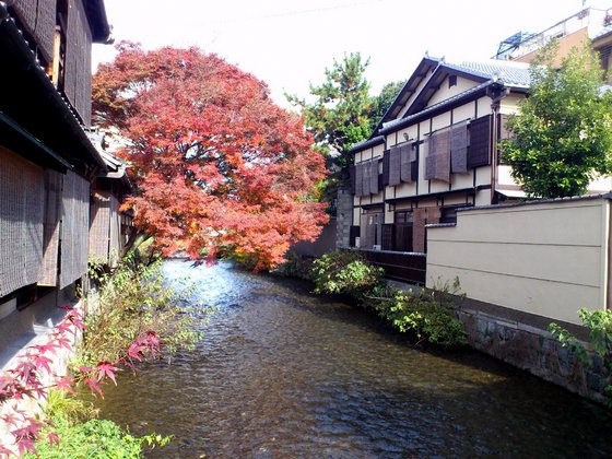 桐木千寿“祇園歳時記” | “祇園のコンシェルジュ”桐木 千寿が、京都・祇園の今の情報をわかりやすく発信しています。