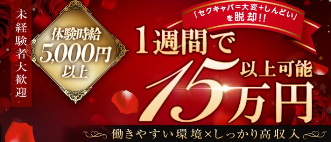 体験レポ】「新宿」のセクキャバで実際に遊んできたのでレポします。新宿の人気・おすすめセクシーキャバクラ5選 | 矢口com