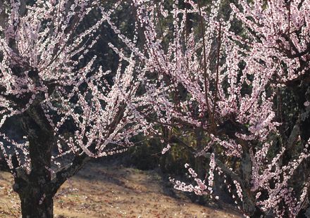 愛知県 名古屋市 守山区