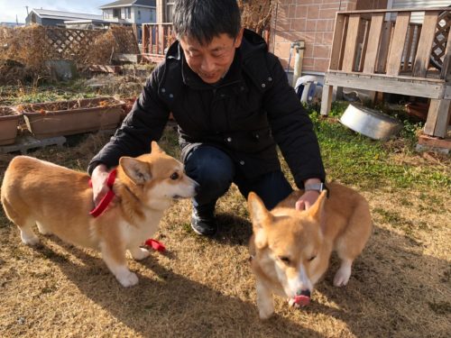 Amazon.co.jp: 風真いろは 宝鐘マリン