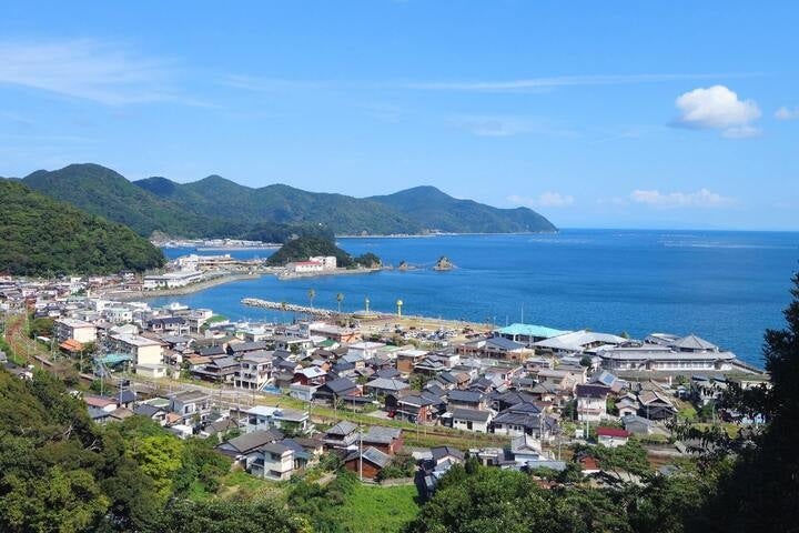 大分県佐伯市蒲江 かまえ海上釣り堀 釣っちゃ王 最新の釣果