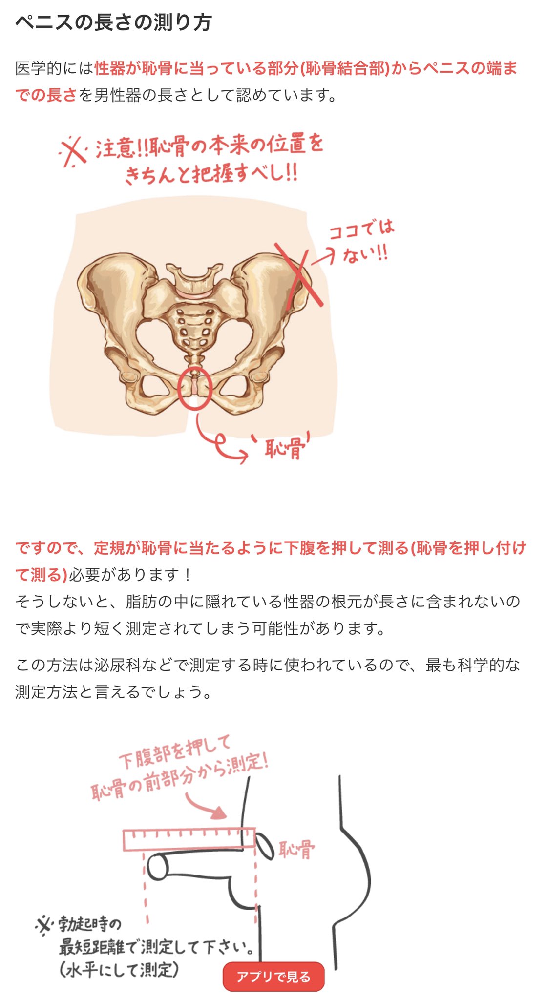 ちんこってどう測ればいいの？さまざまな測り方をわかりやすく解説｜Cheeek [チーク]