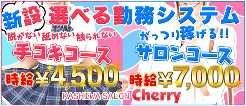 千葉県柏市のおすすめピンサロ・人気ランキングBEST3！【2024最新】 | Onenight-Story[ワンナイトストーリー]