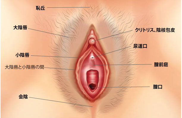 50%OFF】大好きな君に気持ちよくなってほしいから、 [THE猥談] |