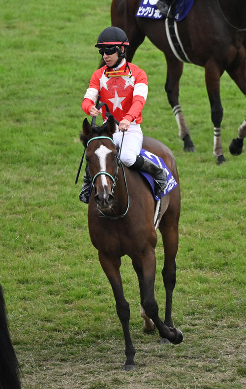 エリザベス女王杯 競馬記事一覧 | 競馬まとめ