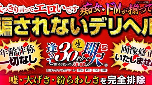 西尾・蒲郡・幸田で遊べる人気のデリヘルはこちら！｜夜遊びガイド