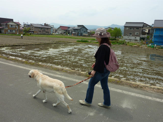 アニマルメディカルプラザ関屋・あさい動物病院の評判・口コミ - 新潟県新潟市中央区【動物病院口コミ検索