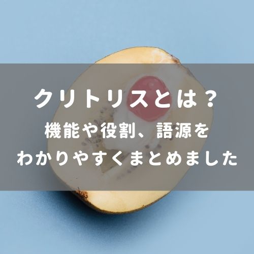 クリトリスは快感を得るための臓器であることを知っていましたか？