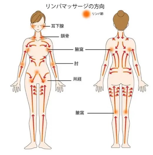 1日3分！ さするだけで免疫力が上がるリンパマッサージ│宝島社の通販 宝島チャンネル