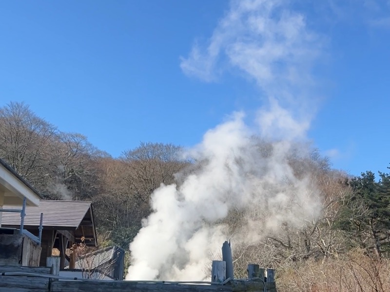 野地温泉ホテル[福島市]のサ活（サウナ記録・口コミ感想）一覧 - サウナイキタイ