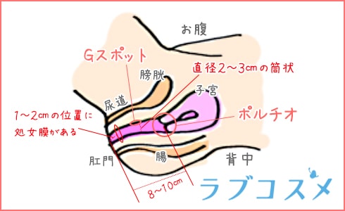 潮吹き指サックG(ブラック)の商品詳細:アダルトグッズ、大人のおもちゃの通販専門店【大人のおもちゃ通販】