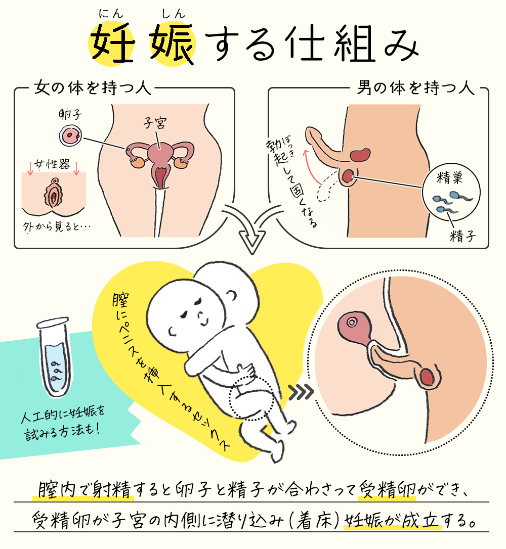 女性の史上最高の快感ウテルスセックスのやり方【図解】 | セクテクサイト