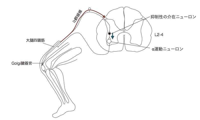 クリープとは？疲労現象とどう違う？材料の変形について解説！ | 建築学科のための材料力学