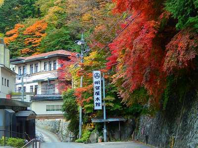 神奈川県足柄上郡山北町の温泉(混浴風呂) 【日本全国温泉ガイド】