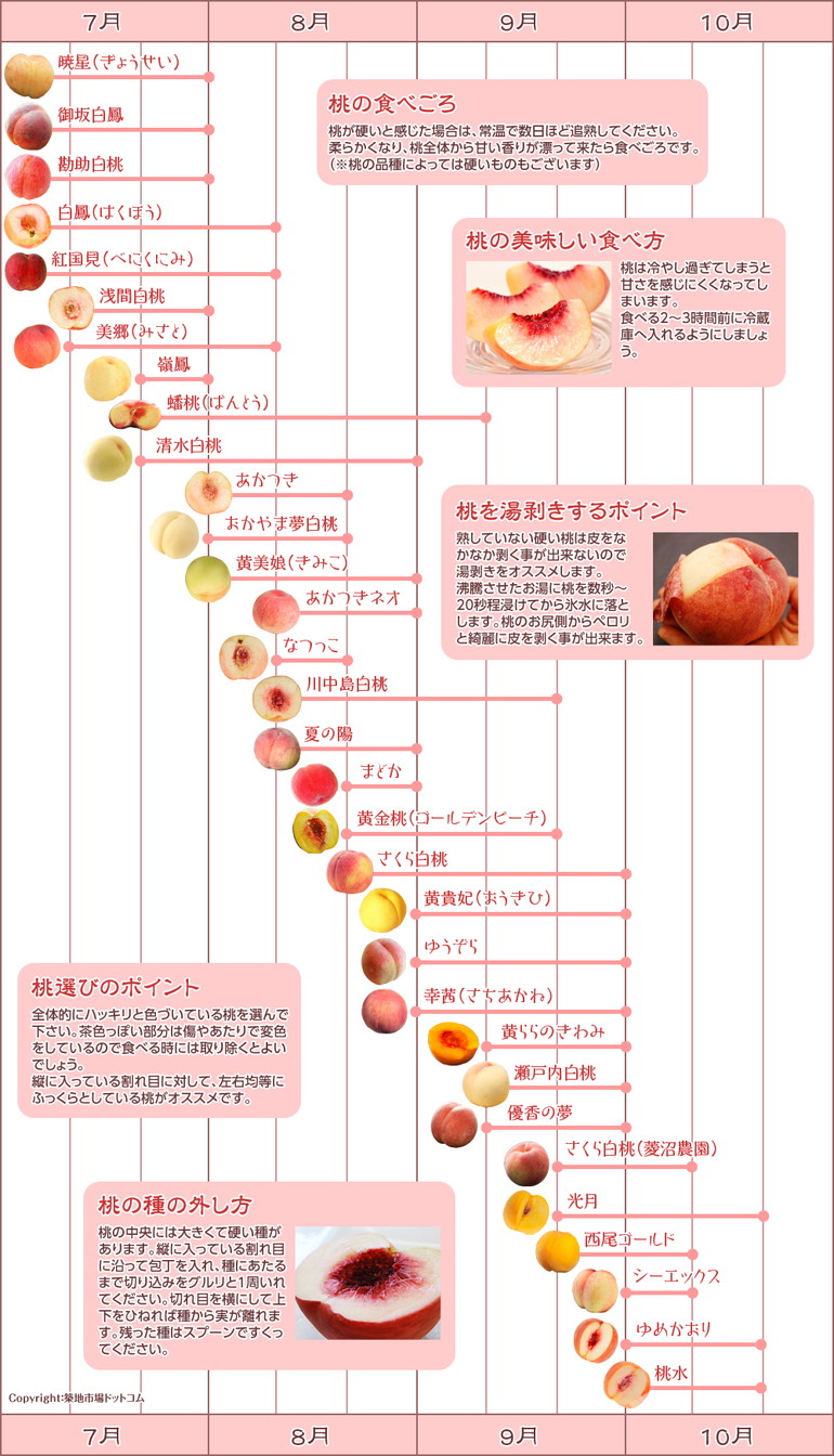 「2ch祭り」タグのついたボケ