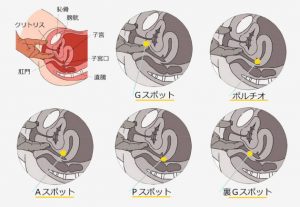 これからのセックスは「口イキ」が流行する!?人体最後の性感帯こと「パラタイン喉腺」とは？ | 日刊SODオンライン