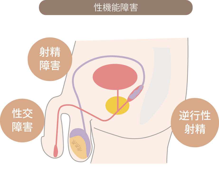 医師監修】射精後の男性にして欲しい行動5選|賢者タイムの仕組みなど