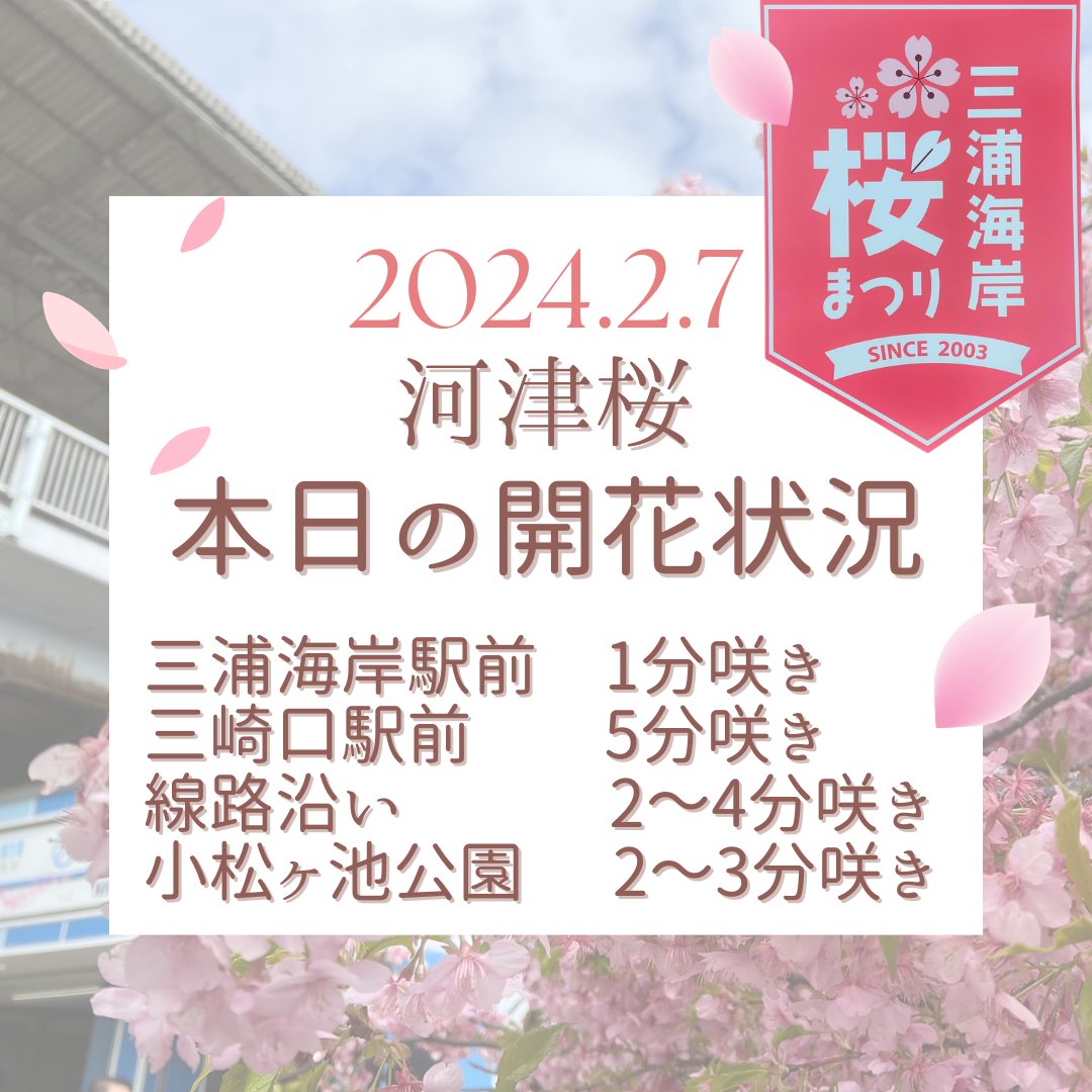 みうらのおもてなし | クーポン取材でもお世話になった山久、2024年1月いっぱいで閉店とのこと…残念です！！！  長年にわたり三崎の味をありがとうございました😭