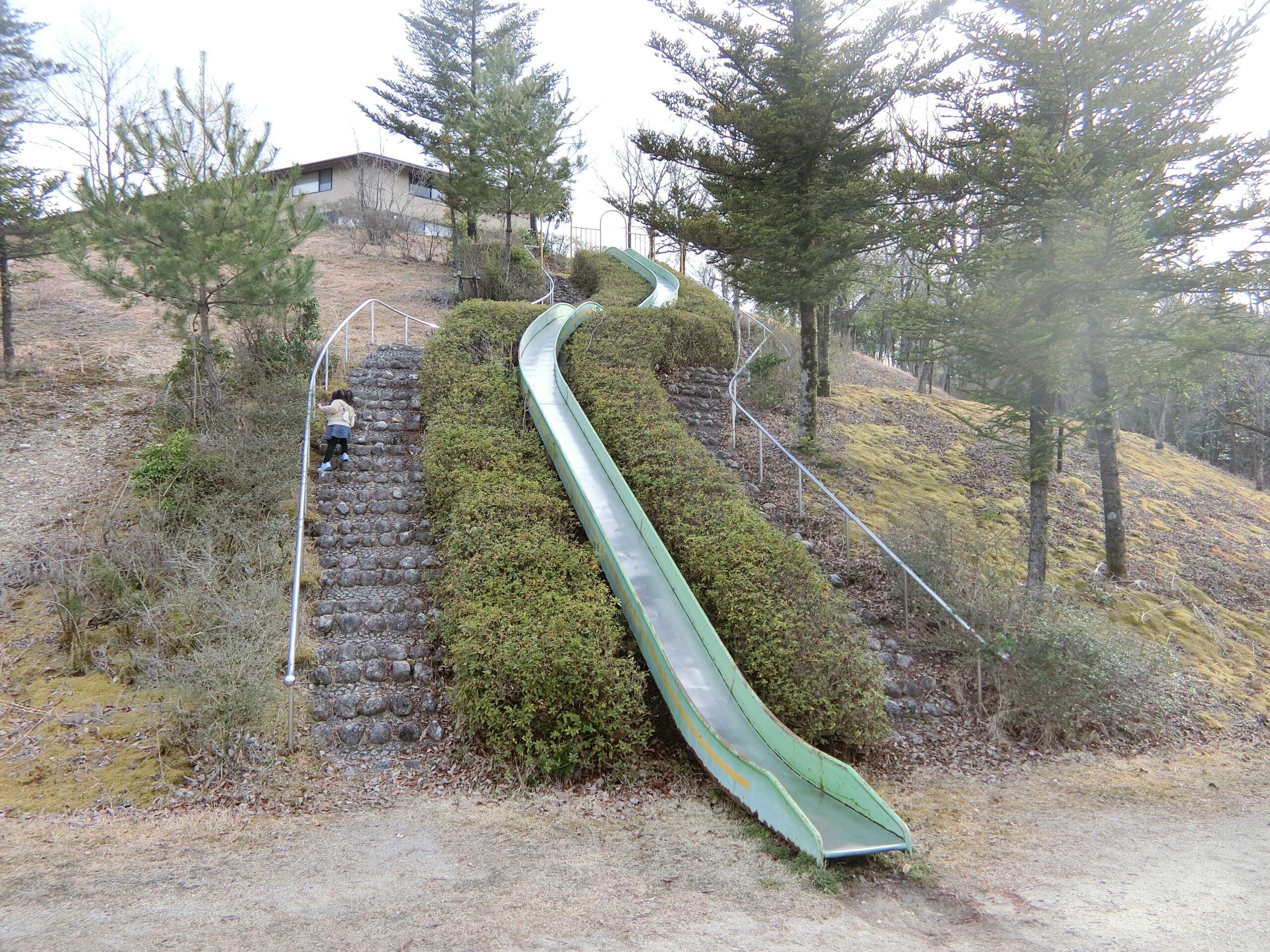 八勝園 湯元館】土岐のジャングル風呂を楽しもう！ | 東濃/とうのう温泉ガイド