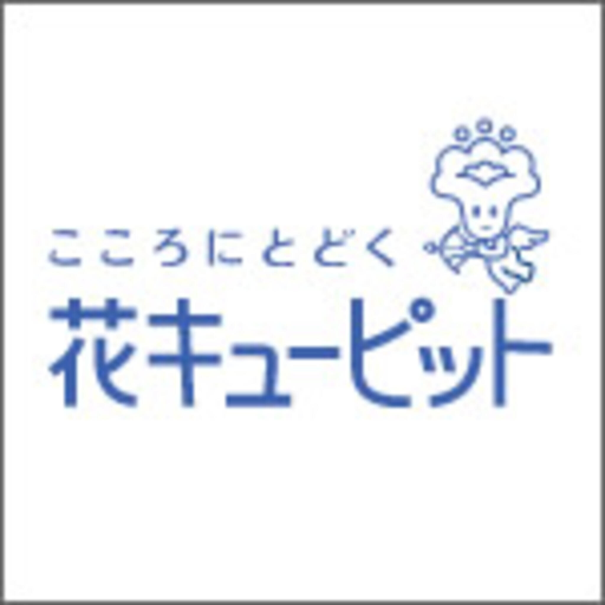 北野白梅町 花の人気のお店をご紹介 | Pathee(パシー)