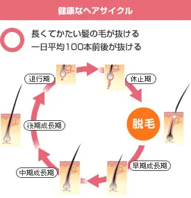 毛抜きはムダ毛処理に向かない？デメリットと時間を無駄にする理由 - 【公式】医療脱毛クレアオム新宿 - メンズ医療脱毛クリニック