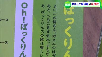 楽天市場】新米 【令和６年度産】レターパック送料無料 北海道産 無農薬米 お試しサイズ