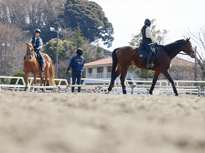 乗馬クラブ クレイン栃木 |